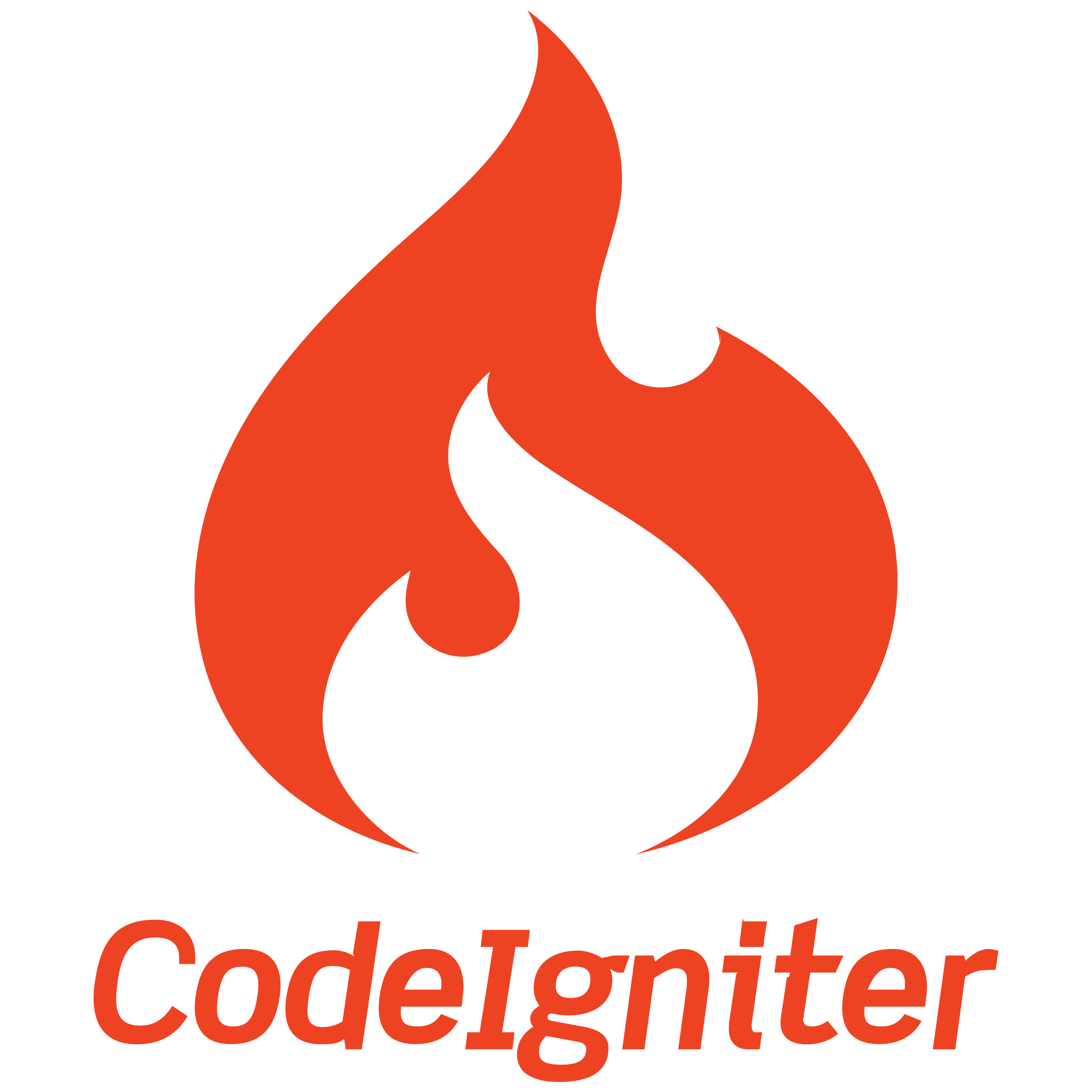 CodeIgniter Icon